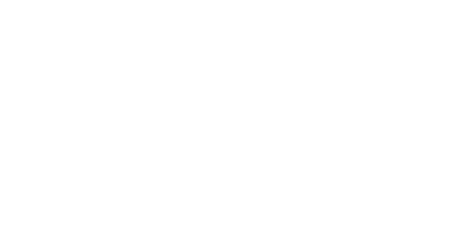 Bri at the Village Logo